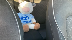 Ford Fiesta 1.0 EcoBoost Active 1 5dr Petrol Hatchback